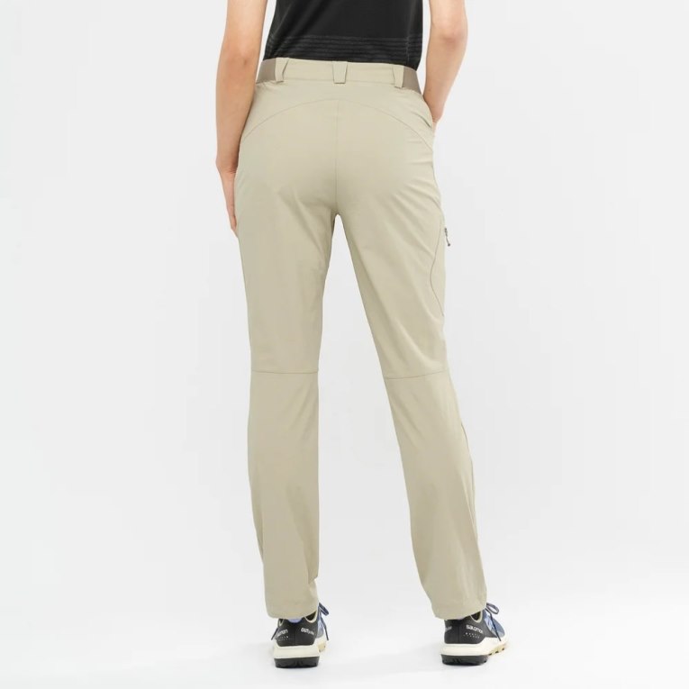 Pantalones Deportivos Salomon Wayfarer Mujer Beige | MX GDWI597